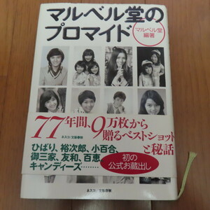 マルベル堂のプロマイド　文春ネスコ　252ページ　　1998年刊行