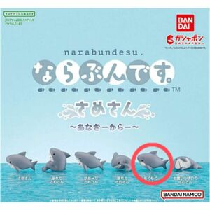 【ならぶんです さめさん ~あなざーからー~】 もぐもぐさめさん