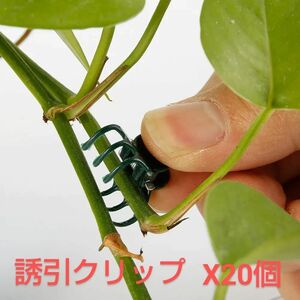 新品/植物用誘引クリップ×20個