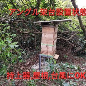 ■ニュースタイル捕獲方法の奥義書道理にセット捕獲間違い無し■当方今季27群ゲット例年50数群捕獲実績■皆様方は昔ながらの捕獲方法かな？の画像7