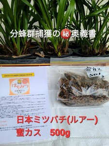 ■ニュースタイル捕獲方法の奥義書道理にセットすれば捕獲間違い無し(蜂に聞いています)■今季30群ゲット■昔たはながら捕獲方法では？