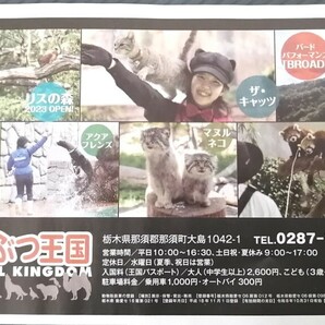 那須 どうぶつ王国 栃木県 観光 動物園 特別 優待券 クーポンの画像2