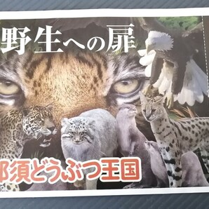 那須 どうぶつ王国 栃木県 観光 動物園 特別 優待券 クーポンの画像1