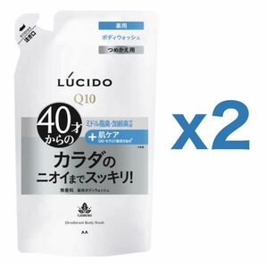 【２個セット】マンダム ルシード 薬用デオドラントボディウォッシュ つめかえ用 380ml｜ボディソープ