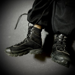 [ price increase expectation ]DAMTOYS made model 1/6 scale man figure for equipment costume shoes boots .... type ( unused 