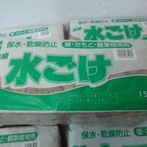 在庫大量にあり☆ 未使用 10個まとめて 高級 水苔 150g 12リットル 蘭・おもと・観葉植物 写真追加☆ 水ごけ 佐川100サイズの画像2