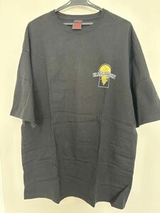 ELLEGARDEN ビッグシルエット Tシャツ XL