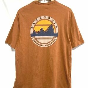 ☆20SS 美品 patagonia パタゴニア Road To Regenerative Pocket Tee ロゴプリント ポケットTシャツ ブラウン Sの画像1