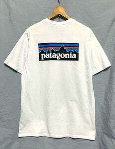 patagonia