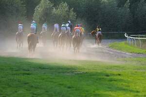 １円画像　相互評価　即決　競馬