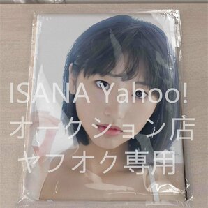 1円スタート/武田玲奈/160cm×50cm/2wayトリコット/抱き枕カバーの画像1