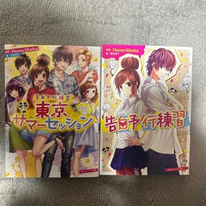 HoneyWorks 小説