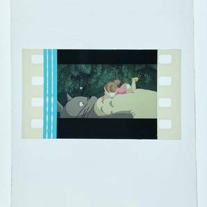 『となりのトトロ (1988) MY NEIGHBOR TOTORO』35mm フィルム 1コマ スタジオジブリ 映画 メイ トトロ Film Studio Ghibliの画像2