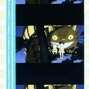『となりのトトロ (1988) MY NEIGHBOR TOTORO』35mm フィルム 5コマ スタジオジブリ 映画 Film Studio Ghibli ネコバス サツキ 宮﨑駿 セルの画像1