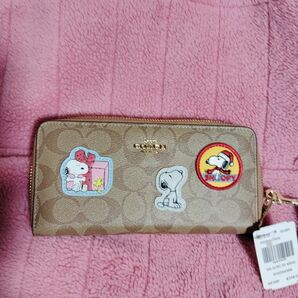 新品未使用 スヌーピー COACH、今だけ値下げ！