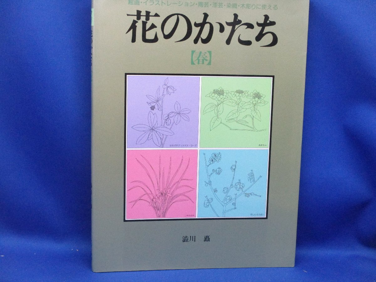 花のかたち〈春〉 渋川 矗 / ラインドローイング 陶磁器や漆器, 木彫の装飾, 絵画･イラストレーションに役立つ102515, アート, エンターテインメント, 絵画, 技法書