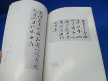 近世末の書聖 寂嚴・慈雲展　印譜　思文閣 昭和54年　52712_画像6