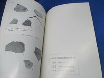 神奈川県鎌倉市　若宮大路遺跡発掘調査報告書Ⅳ/1990.7 瀬戸　かわらけ_画像4