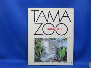 TAMAZOO 多摩動物公園グラフ 写真集 東京動物園協会 　90505