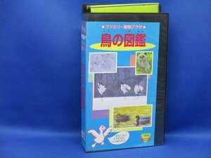  Family animal pra The bird. illustrated reference book VHS video VHS video 90621