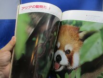 TAMAZOO 多摩動物公園グラフ 写真集 東京動物園協会 　90505_画像10