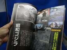 洋泉社MOOK 別冊映画秘宝　東宝　特撮総進撃　/050205_画像5