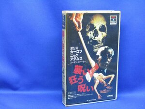 【VHS】襲い狂う呪い 1965年 イギリス映画 H・P・ラヴクラフト SFホラー DIE, MONSTER DIE　72602