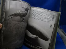 初版 『 季刊GS たのしい知識 vol.3 千のアジア 』 浅田彰 伊藤俊治 四方田犬彦 冬樹社　/92901_画像8