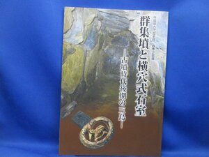 図録■大阪高槻市三島　古墳時代後期の三島「群集墳と横穴式石室」　今城塚古代歴史館/令和2年　31810