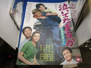 国内B2判 映画ポスター【泣いてたまるか】 監督 宮崎晃/榊原 るみ/坂上二郎/40801