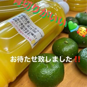 沖縄県産青切りシークヮーサー果汁100%500ml 3本セットペットボトル