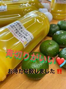 沖縄県産青切りシークヮーサー果汁100%500ml 3本セットペットボトル　大宜味県産100%