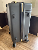［シフレ］ハピタス DISNEY ディズニー スーツケース 国内メーカー 1年間 シフレ証付き 50L 3.7kg_画像6