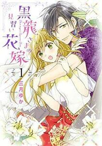 黒龍さまの見習い花嫁 全11巻 完結セット (ジャイブ) レンタル・漫画喫茶落ち 全巻セット 中古 コミック　漫画