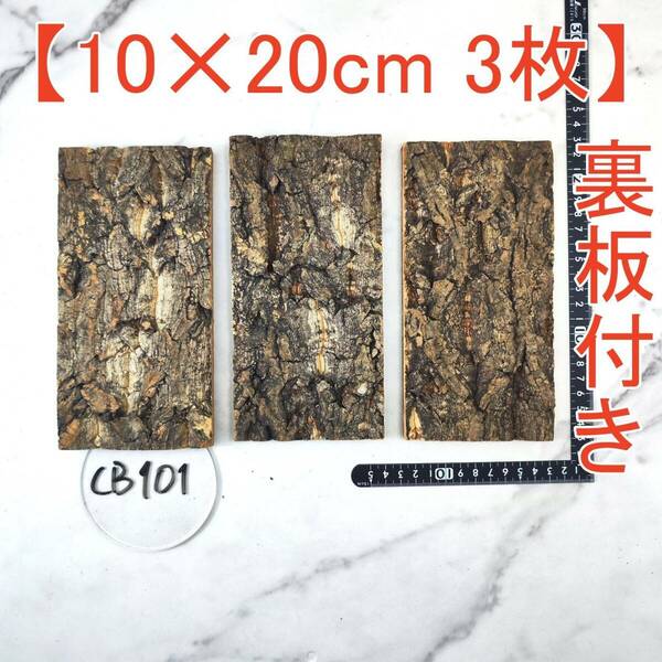 CB101【裏板付き3枚10×20cm】 コルク樹皮 コルク板 バージンコルク 送料無料 　チランジア　ビカクシダ　着生ラン　両生類　爬虫類　