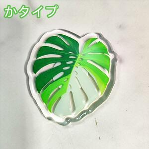 【2点目半額】 アクリル 冷蔵庫マグネット 熱帯植物 観葉植物 希少 インテリア プレゼント 海外 おすすめ