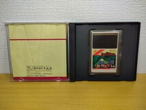 PCエンジン【スプラッターハウス SPLATTER HOUSE】ケース 取扱説明書 ソフト付き『PCE HuCARD NEC』スプラッター ハウス ナムコ_画像7