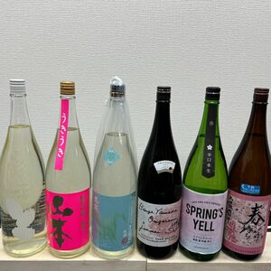 A10　一升瓶6本　各蔵の最新詰め又は飲み頃のお酒　