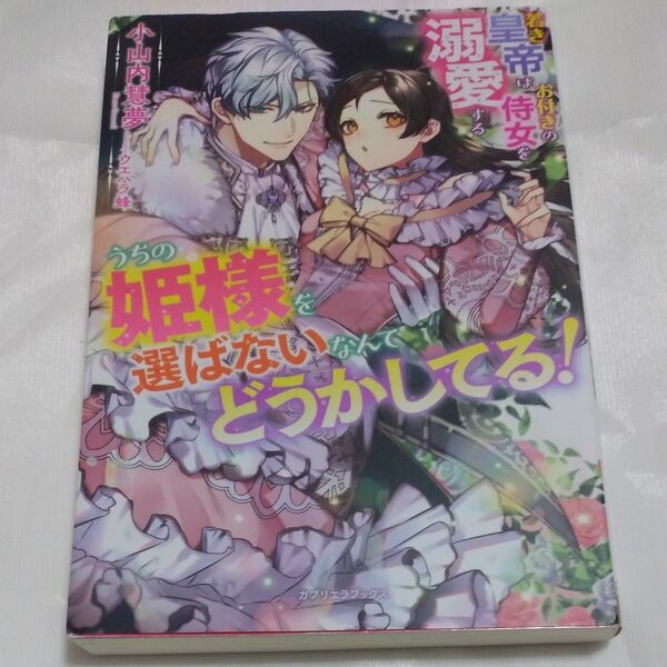 うちの姫様を選ばないなんてどうかしてる！　若き皇帝はお付きの侍女を溺愛する （ガブリエラ 小山内慧夢／著価格：1,200円（税抜）