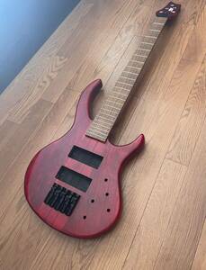 IYV スルーネック 5弦ベース パーツ無し : エレキベース ibanez