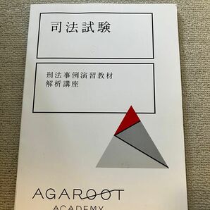 アガルート 刑法事例演習教材解析講座 司法試験 予備試験 法科大学院 法学部 ロースクール agaroot academy