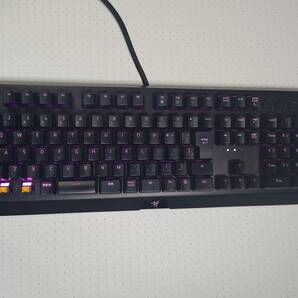 ジャンク Razer Blackwidow ELITE オレンジ軸の画像1