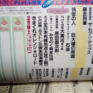 TELEPAL テレパル 1986年7月5日号☆新・夏体験物語2/相築彰子・二十歳の祭り/水谷麻里/後藤久美子/きまぐれオレンジロード/子猫物語//の画像7