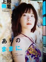 週刊プレイボーイ 2006年12月11日号 (No.50)瀬戸早妃8p上野樹里4p小向美奈子4pリア・ディゾン4p秋山莉奈8p西川史子3p風子3p美尻特集8p_画像3