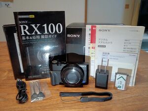 純正グリップ+ガイド本付き【SONYが誇る名機】極美品 SONY DSC-RX100【取説+元箱付き】