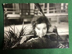 山本富士子、スチール写真、ピン跡あり、新・平家物語、義仲をめぐる三人の女、1956年、大映