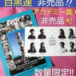 目黒蓮 めめ 日本アカデミー賞 新人俳優賞 非売品 数量限定 公式 ポストカード フライヤー