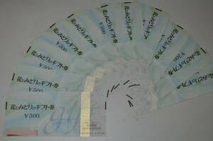 * daikokuya shop * flowers and greenery. gift certificate 2025 year 12 to month 500 jpy 11 sheets 5500 jpy minute ① unused 