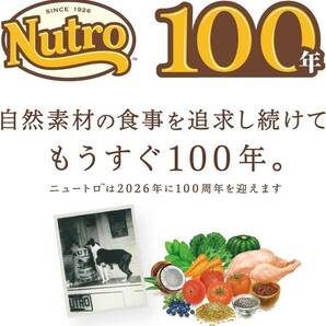 Nutro ニュートロ シュプレモ 超小型犬~小型犬用 エイジングケア 3kg ドッグフードシニア/自然素材/着色料 無添加/消化の画像9