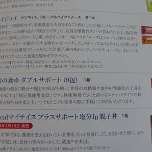 大塚製薬 賢者の食卓ダブルサポート 6g×9包 賞味期限2026年12月の画像2